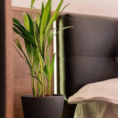 Digital Nomad With Free Gym Pass And Office Setup Sofya