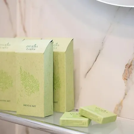 Digital Nomad With Free Gym Pass And Office Setup Sofya