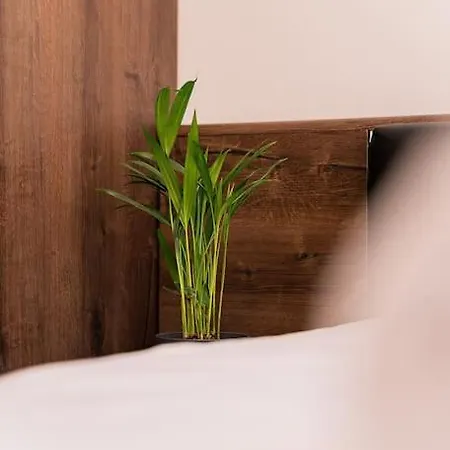 公寓 Digital Nomad With Free Gym Pass And Office Setup *